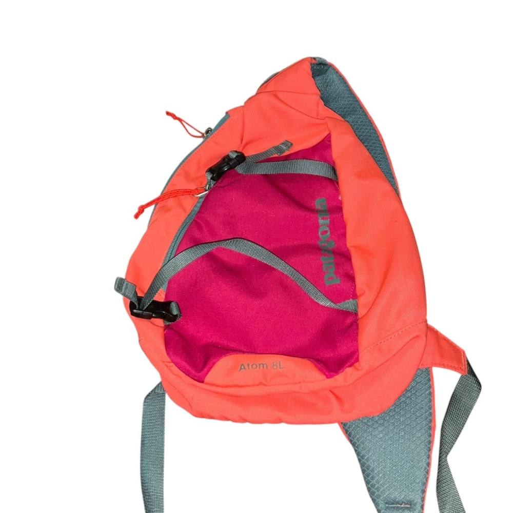 Patagonia Bag original LTD collection VHTF